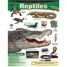 Exploring Reptiles Learning Chart 17x22 [T38181]