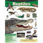 Exploring Reptiles Learning Chart 17x22 [T38181]