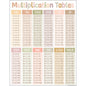 Terrazzo Tones Multiplication Tables Chart 17x22 [TCR7874]
