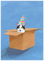 Cat in a Box Birthday Card