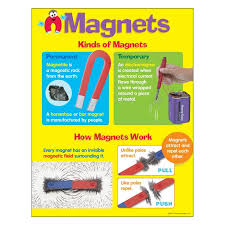 Magnets Learning Chart 17x22 [T38055]