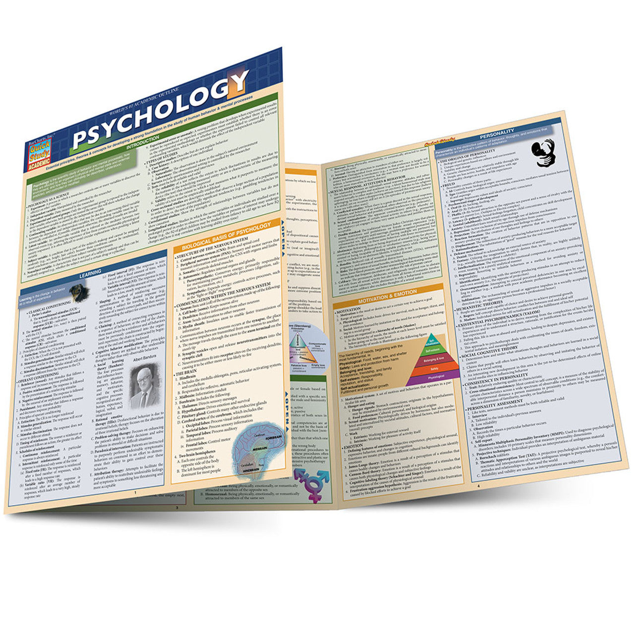 QuickStudy | PSYCHOLOGY [219620]
