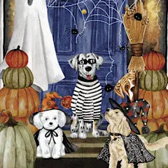 Masked Dog Halloween Greeting Card [HAT47082001]