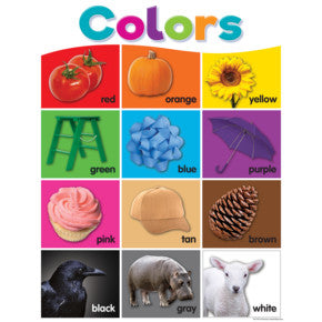 Colorful Colors Chart 17x22 [TCR7991]