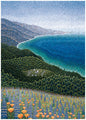 BIG SUR SPRING THANK YOU Greeting Card [2404TY]