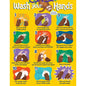Handwashing Chart 17x22 [CD114308]