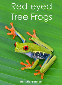Red-eyed Tree Frogs - Single Copy [1RETF]
