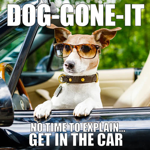 Dog-Gone-It Book [48628]