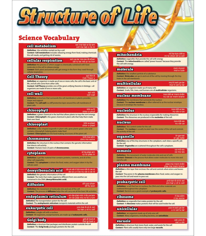 Science Vocab: Structure of Life Chart 17x22 [CD414094]