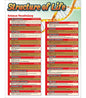 Science Vocab: Structure of Life Chart 17x22 [CD414094]
