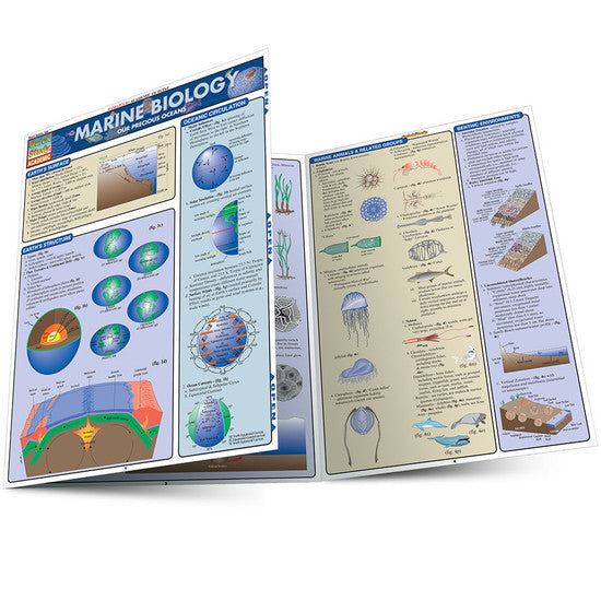 QuickStudy | Marine Biology [225824]