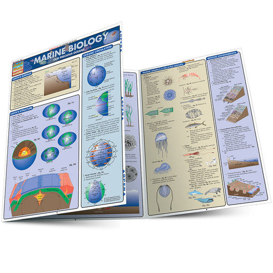 QuickStudy | Marine Biology [225824]