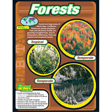 Forests Learning Chart 17x22 [T38148]