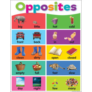 Colorful Opposites Chart 17x22  [TCR7496]