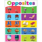 Colorful Opposites Chart 17x22  [TCR7496]