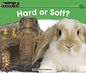 Hard or Soft? [NL0376]