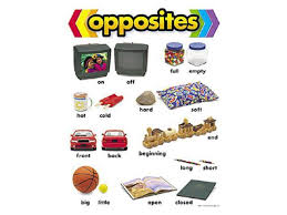 OPPOSITES CHART 17x22 [T38027]
