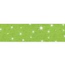 LIME SPARKLE Bolder Borders Trim (D) [T85435]