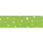 LIME SPARKLE Bolder Borders Trim (D) [T85435]